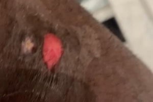 Jrs直播